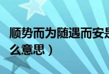 顺势而为随遇而安是什么意思（随遇而安是什么意思）