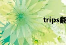 trips翻译（trips）