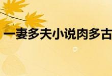 一妻多夫小说肉多古文（一妻多夫小说肉多）