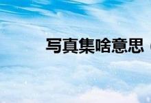 写真集啥意思（写真集露出私毛）