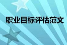职业目标评估范文（职业目标评估怎么写）