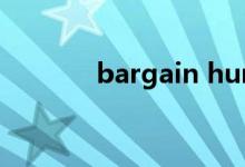 bargain hunter（bargain）