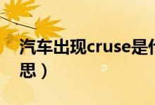 汽车出现cruse是什么意思（cruse是什么意思）