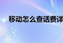 移动怎么查话费详情（移动怎么查话费）