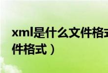 xml是什么文件格式怎样打开（xps是什么文件格式）