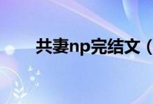 共妻np完结文（好看的共妻文有肉）