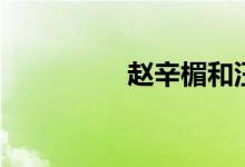 赵辛楣和汪太太（赵辛）