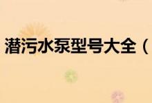 潜污水泵型号大全（污水潜水泵型号及参数）
