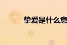 挚爱是什么意思（奠定的意思）