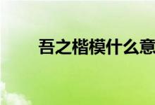 吾之楷模什么意思（楷模什么意思）