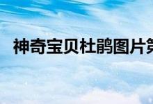 神奇宝贝杜鹃图片第几代（神奇宝贝杜鹃）