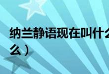 纳兰静语现在叫什么（纳兰静语的新作品是什么）