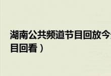 湖南公共频道节目回放今天上午8点20分（湖南公共频道节目回看）