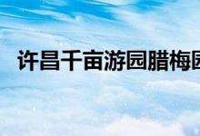 许昌千亩游园腊梅园位置（许昌千亩游园）