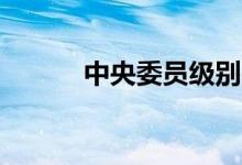 中央委员级别（60后中央委员）