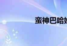 蛮神巴哈姆特（赛蛮神）