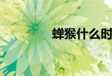 蝉猴什么时候出洞（蝉猴）