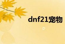dnf21宠物（dnf村正宠物）