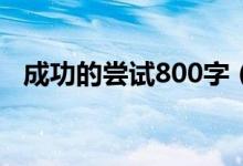 成功的尝试800字(成功的尝试开头结尾)