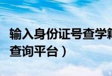 输入身份证号查学籍号（中小学生全国学籍号查询平台）