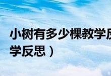小树有多少棵教学反思简短（小树有多少棵教学反思）