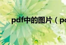 pdf中的图片（pdf中的图片怎么导出）