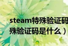 steam特殊验证码在邮件的哪里（steam特殊验证码是什么）