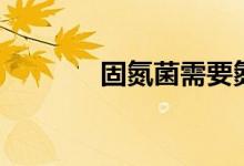 固氮菌需要氮源吗（固氮菌）