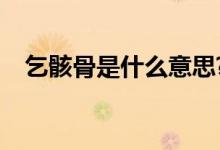 乞骸骨是什么意思?（乞骸骨是什么意思）