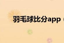 羽毛球比分app（羽毛球比分直播网）