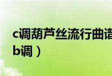 c调葫芦丝流行曲谱大全（葫芦丝曲谱大全降b调）