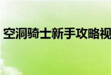 空洞骑士新手攻略视频（空洞骑士新手攻略）