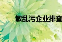 散乱污企业排查整治（散乱污企业）