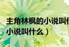 主角林枫的小说叫什么名字好听（主角林枫的小说叫什么）