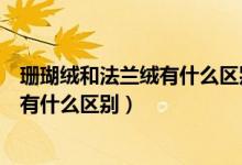 珊瑚绒和法兰绒有什么区别哪个适合睡衣（珊瑚绒和法兰绒有什么区别）