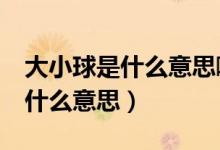 大小球是什么意思啊（大小球2 middot 5是什么意思）
