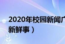 2020年校园新闻广播稿140字(广播稿校园新鲜事)