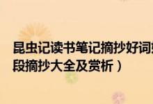 昆虫记读书笔记摘抄好词好句好段赏析（昆虫记好词好句好段摘抄大全及赏析）