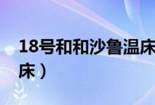 18号和和沙鲁温床福利（18号本子沙鲁的温床）
