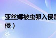 亚丝娜被虫卵入侵是哪一集（亚丝娜被虫卵入侵）