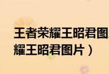 王者荣耀王昭君图片高清 偶像歌手（王者荣耀王昭君图片）