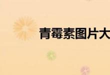 青霉素图片大全（青霉素图片）