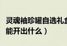 灵魂袖珍罐自选礼盒有哪些武器（灵魂袖珍罐能开出什么）