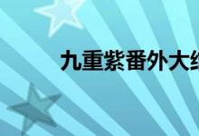 九重紫番外大结局（九重紫番外）