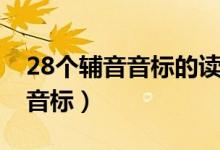 28个辅音音标的读法用汉字标记（28个辅音音标）