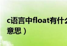 c语言中float有什么作用（float在c语言中的意思）
