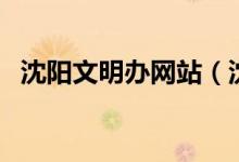 沈阳文明办网站（沈阳市文明小博客官网）