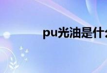 pu光油是什么（光油是什么）