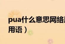 pua什么意思网络用语（2333什么意思网络用语）