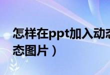 怎样在ppt加入动态图（如何在ppt中加入动态图片）